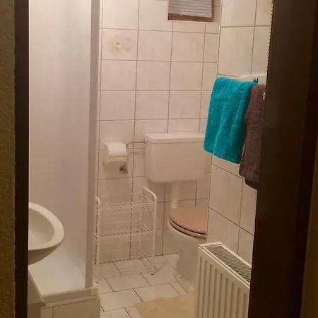 Haus Alpenhahn Apartment *