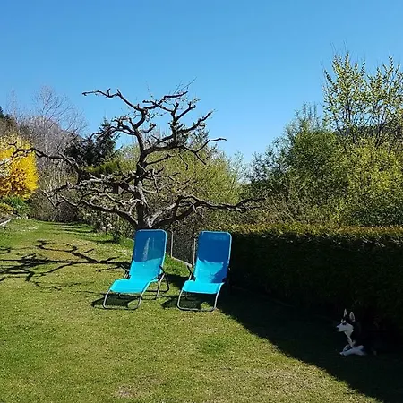 Haus Alpenhahn アパート ヴェンス